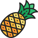 piña icon