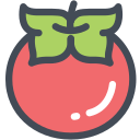 tomate icon