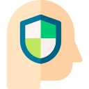 la seguridad icon