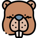 castor 
