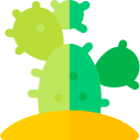 Cactus icon