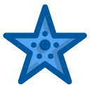 estrella de mar