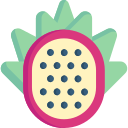 pitaya icon