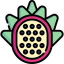 pitaya icon