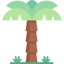 palmera icon