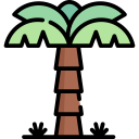 palmera icon