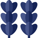 lavanda icon