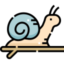 caracol