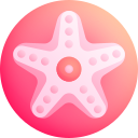 estrella de mar icon