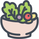 salada icon