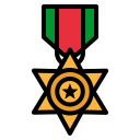 medalla estrella icon