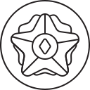 estrella icon