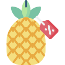 piña icon