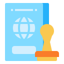 pasaporte icon