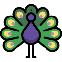 pavo icon