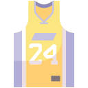 Jersey icon