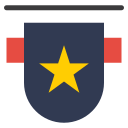 insignia icon