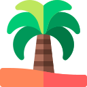 palmera