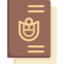 pasaporte icon