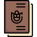 pasaporte icon