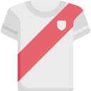 camiseta icon