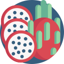 pitaya icon