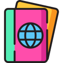 pasaporte icon