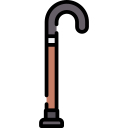 Walking stick 