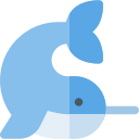 narwhal 