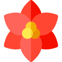 flor de pascua 