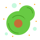 aguacate icon