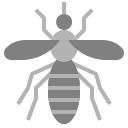 mosquito icon