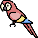 guacamayo icon