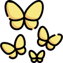 mariposas 