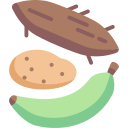 yucca 