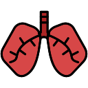 pulmones infectados icon