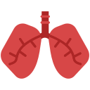 pulmones infectados