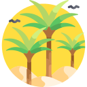 palmera icon