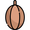 cacao icon