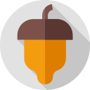 Acorn 