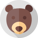 bär 