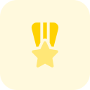 insignias icon