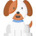 mascota icon