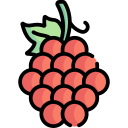 uvas icon