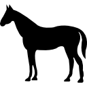 siluetta tranquilla di vista laterale del cavallo icona