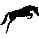 Black jumping horse with face looking to the ground 