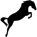 siluetta nera del cavallo nel salto elegante icona