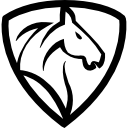 Free Icon | Horse head with hair outline