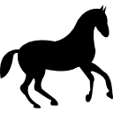 cavallo nero della corsa di ballo icona
