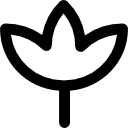 flor icon